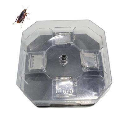 China Disposable Plastic Insect Bait Killer Anti Catcher Box Cockroach Trap Chamber for sale