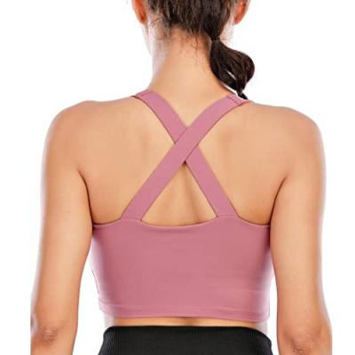 China Antibacterial Women's Aplet Sports Bra Workout Crop Tank Tops Workout Bra Padded Medium Support Yoga Bra for sale