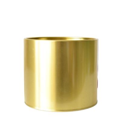 China New-fashion Flower Pot Simple Modern Nordic Gold Bucket Decorative Electroplating Ornaments for sale