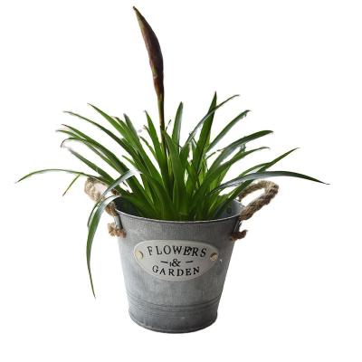 China New-fashion green plant flower wholesale foreign trade gardening can be retro customized round iron flower pot for sale