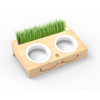 China OEM Modern Design Pet Bowl Sustainable Support Elevated Bowls Combine With Pet Grass Plant for sale