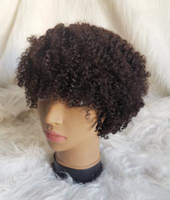 China Cheap Afro Curly Short Afro Kinky Curly Wigs None Lace Front Wig 100% Afro Curly Hair Wig For Black Women for sale