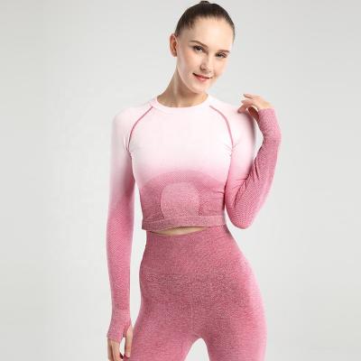 China Breathable Women Long Sleeve Gym Seamless Crop Top Fitness Shirt for sale