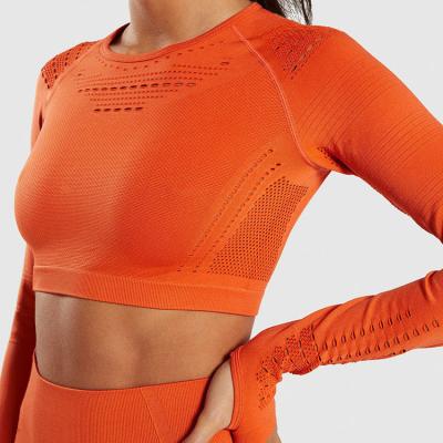 China Breathable Women Gym Wear Sex Yoga Activewear Fitness Wear Sexy Sportswear for sale