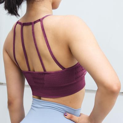 China Breathable China Women Yoga Shorts Girl Seamless Sports Bra for sale