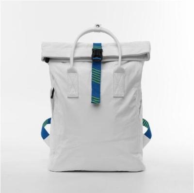 China Waterproof NEW ARRIVAL 2022 HOT SALES WATERPROOF BACKPACK TYVEK LAPTOP BACKPACK for sale