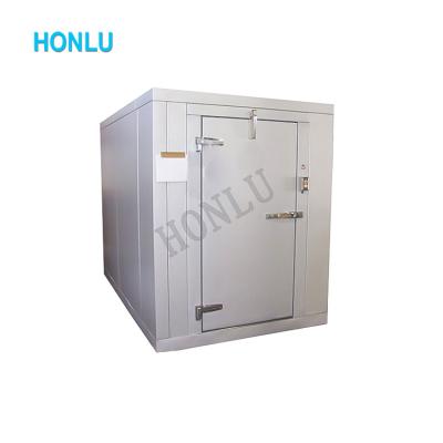 China Container Fruits Cooling Machine Cold Storage Kit Cold Room Food Cold Storage Freezer Room for sale