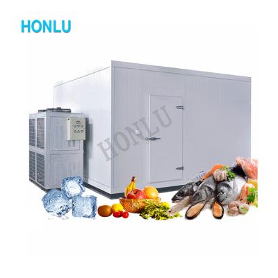 China Latest Container Competitive Price Freezer Cold Room Container Storage For Fruit And Fish for sale