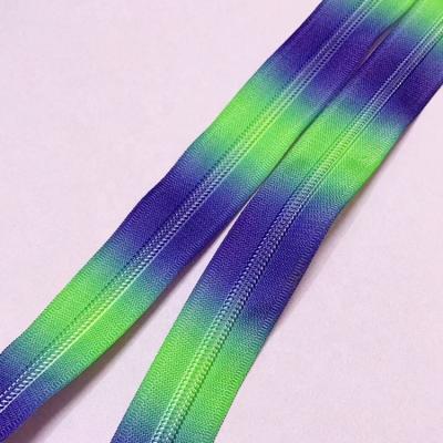 China Durable Zipper 5# Custom Nylon Rainbow Teeth Long Zippers Nylon Chain for sale