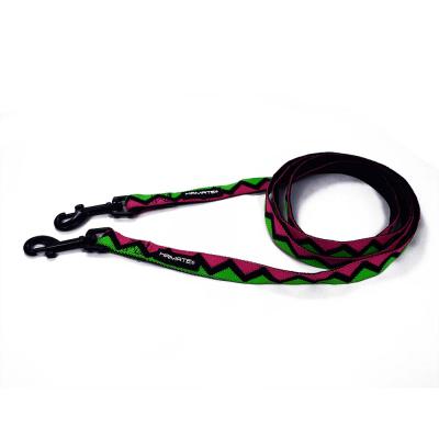 China Dogs/Pets Logo New Brand Top Quality With Low Price Polyester Nylon Dog Leash for sale