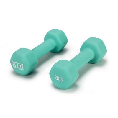 China Perfect Home Use Quality Fitness Training Small Dumbbell Hexagonal Grinding Equipment Kids Dip Set for sale