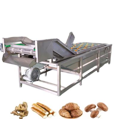 China Fruit  Vegetable Clean Machine And Drying Equipment Vegetable Washing Production Line for sale