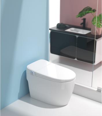 China China Wholesale Commercial European Bathroom Sanitary Ware Ceramic Smart Single Piece Floor Standing Toilet for sale