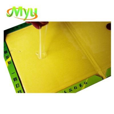 China Disposable Strong Sticky Glue Mouse Rat Hook Dish Rat Traps Boards for sale