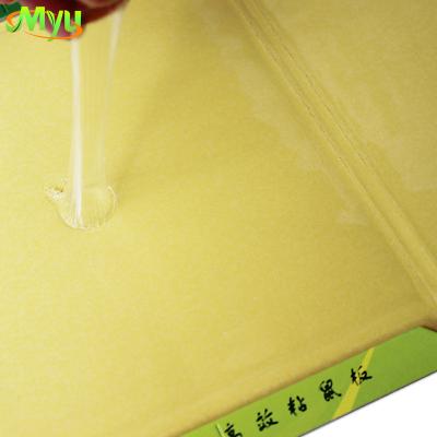 China Yellow Cheap Disposable Mouse Hook Glue Rat Trap Hotel Kitchen Kitchen Restaurants Use Mouse Reflector for sale