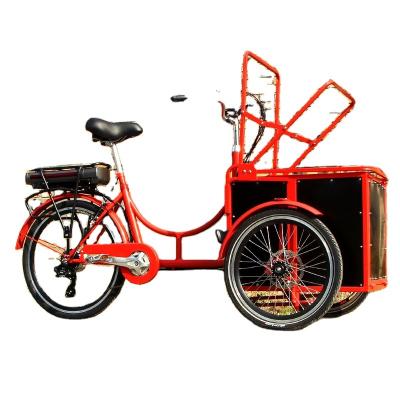 China Custom size mini cargo tricycle electric cargo tricycle for sale cargo bike for kids mini cargo bicycle for sale