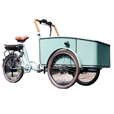 China Dutch Popular Cargo Bike 3 Wheels Electric Cargo Tricycle Bakfiets With Trolley for sale