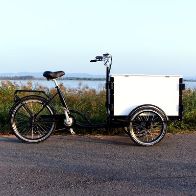 China New design cargo bike for sale adult tricycle with child safe seat for sale