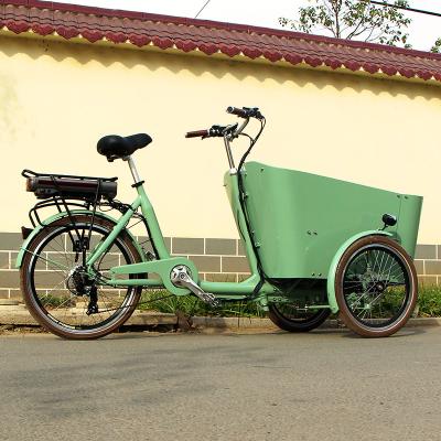 China Take Child Family Electric Cargo Tricycle 3 Wheel Adult Bike For Kids Cycle With Wooden Box Family Cargo Bike for sale