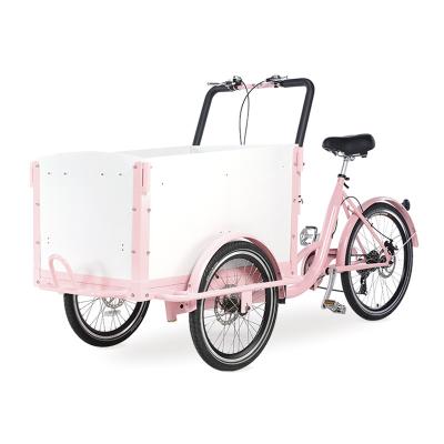 China Take To Kid New Style Electric Three Wheel Cargo Bike Or Pedal Tricycle Street Food Cart Family Cargo Bike for sale