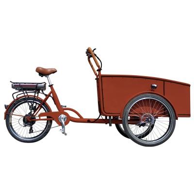 China Hot sale 3 wheel passenger electric cargo bike with rain cover family electric cargo bike for sale