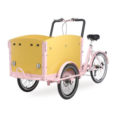 China Take Child Three Wheel Electric Cargo Bike Family Model Cargo Bike With 250W Motor Steel Frame Middle Bike for sale