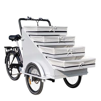 China New Design Cargo Bike Electric Adult Family Tricycle Outdoor Mobile Fruit Food Vending Cart Factory Price for sale