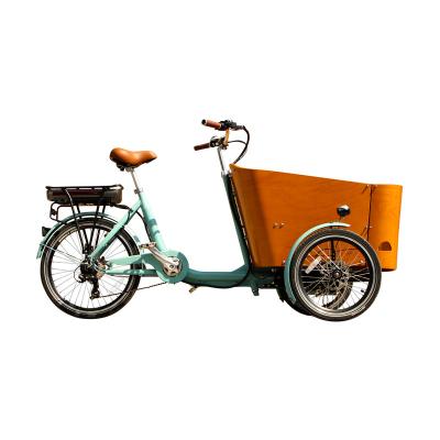 China Electric Cargo Bike Trike bicicleta de carga Bike 3 Wheels Motor Cargo Tricycle Cargo Bike for sale