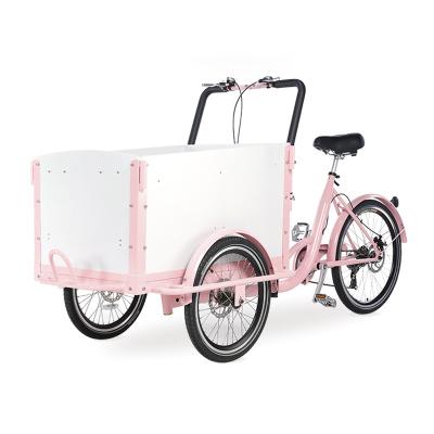 China 250W Motor Three Wheel Electric Cargo Bike Cargo Bike Drive Type Electric Tricycle for sale