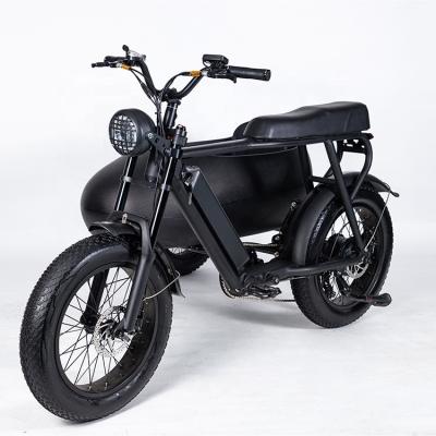 China Aluminum alloy electric city bike bicycle sidecar with 750w motor for sale for sale