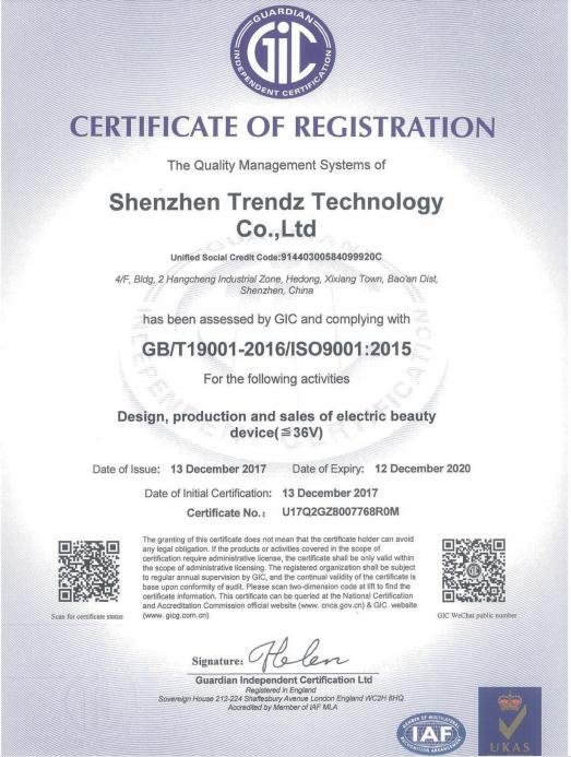 ISO9001 - Shenzhen Trendz Technology Co., Ltd.