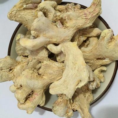 China Best Seller Fresh Dried Ginger Half-Dried Ginger Dried Split Ginger for sale