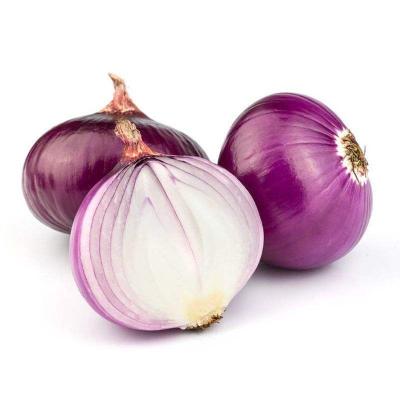 China Good quality fresh fresh onion from china buyers supplier for sale