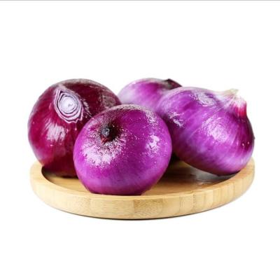 China Fresh natural fresh red onions for sale