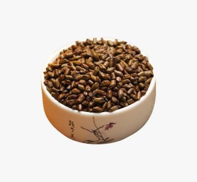 China Benefits of High Quality Dry Semen Cassiae Seeds from Herb Material for sale