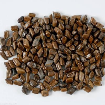 China International Supplier Wild Cassia Tora Optimum Seeds 100% pure and clean quality natural dried juemingzi for sale