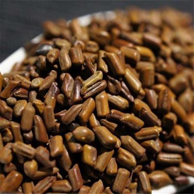 China Herb Material Semen Cassiae Seeds natural dry for sale