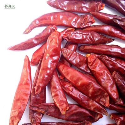 China Chinese high quality natural pepper dry red chilli for sale