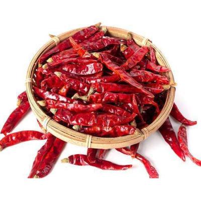 China Hot and Spicy Export Dry Whole Chilli Pepper for sale