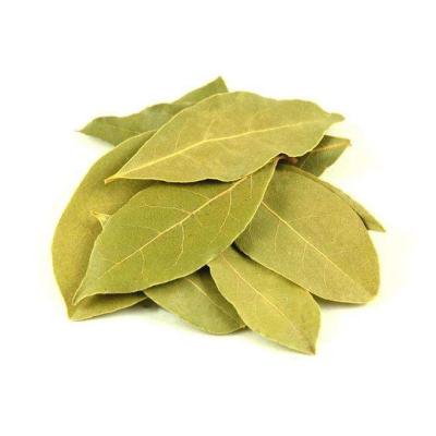 China High Quality Baking Spice Laurel Leaves Dried Natural Bayleaf Aromatic for sale