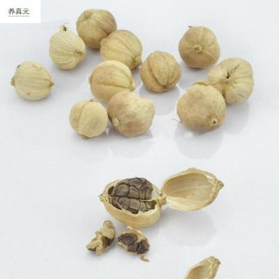 China No whole sale 8mm new 1 kilogram spice flavor cardamom spot culture bulk for sale