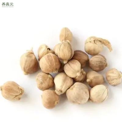 China No Spot Artificial Picking Partner Natural Planting Best Cooking Dry White Cardamom for sale