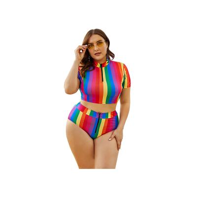 China Breathable Plus Size Swimwear Women Dress Fashion Printing 2XL 3XL 4XL 5XL Designer Swimsuit Women for sale