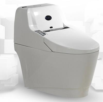 China Double-Flow Automatic Flush Sensor Floor Mounted Toilet for sale