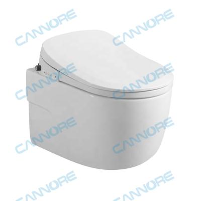 China Hidden Cistern Bathroom Wall Hung Toilet Ceramic Smart Smart WC for sale