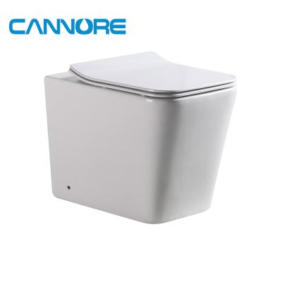 China Concealed Tank EWC 2020 New Ceramic P-trap Popular Hot Selling Floor Standing Toilet for sale