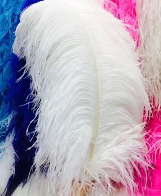 China Wholesale high quality carnival white ostrich feather white ostrich feather for wedding decoration for sale