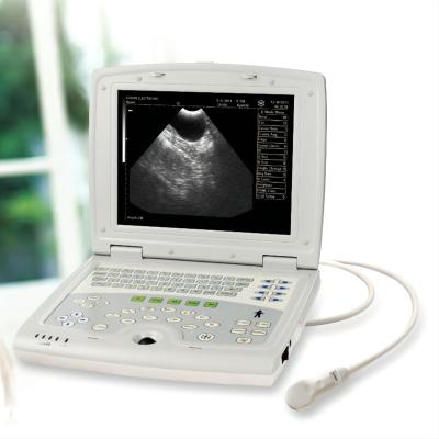 China Veterinary Full Digital Portable Ultrasound Scanner KX5000 Machine For Animals KX5000 for sale