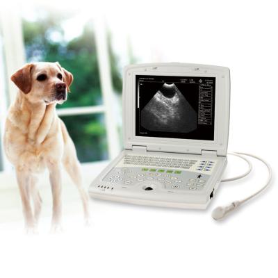 China New KX5000 Veterinary Foinoe KX5000 Impressive Clear Image Ultrasound Scanner for sale