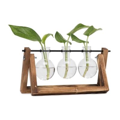 China Modern Home Wooden Vase Holder Vintage Decoration Glass Bulb Planter For Hydroponics Plants for sale